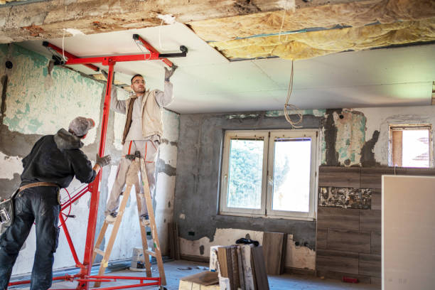 Best Insulation Maintenance and Repair in Superior, CO